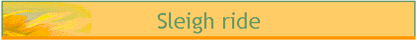 Sleigh ride