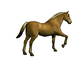 chev10.gif (87,1 Ko)