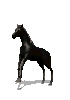 chev4.gif (21,9 Ko)