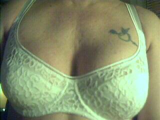 Image 11.jpg (55479 octets)