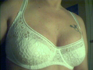 Image 12.jpg (53836 octets)