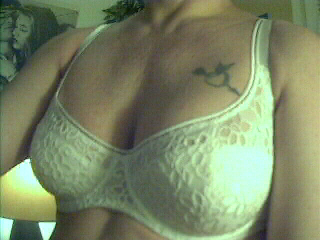 Image 13.jpg (55113 octets)