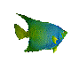 pois45.gif (78,2 Ko)
