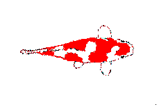 pois76.gif (8,31 Ko)
