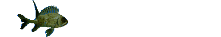 pois95.gif (34,8 Ko)