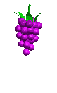 raisin.gif (3Ko)