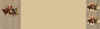J339.jpg (26386 octets)