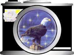 goiseau15.gif (42,5 Ko)