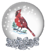 goiseau2.gif (35,5 Ko)