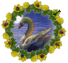 goiseau9.gif (74,1 Ko)