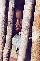 Descente en pirogue sur la Tsiribihina (Madagascar) : carnets de voyage et photos de la visite