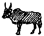 Faune de Madagascar : Zbu  