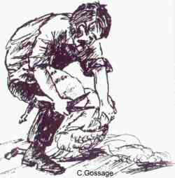 Blade Shearing