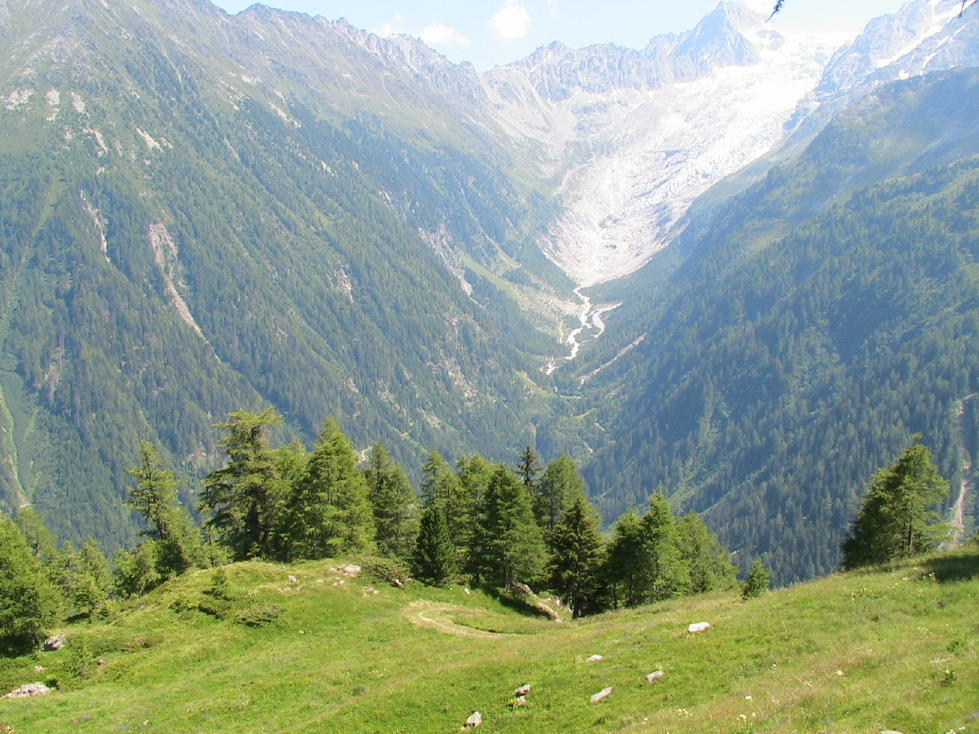 summer scene