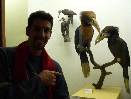 Tim @ Hornbill.com, a photo from London's National History Museum