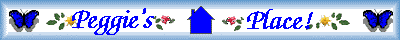 Peggie's Place 4 Kids, Teens, Families & Christian Resources