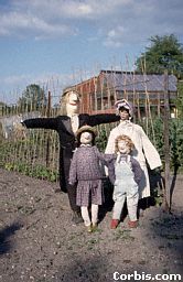 Old MacDonald's Farm