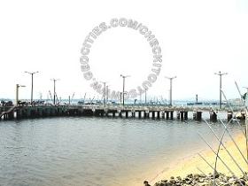 Senoko Fish Port Fishing Angler Hotspots 2 Pic4 - On the right-hand side looking toward Senoko Fish Port. There're always soal of bait fish swimming under the jetty.