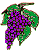 grape pic
