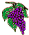 grape pic