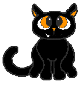 Black Cat