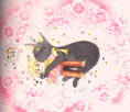 this is like my cat 