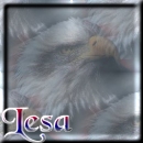 Visit Lesa