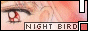 Night Bird