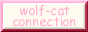 wolf-cat connection