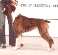 Baxter at 18 months