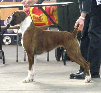 Rana at 15 months