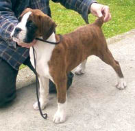 Rana at 3 months