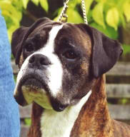 Thomas at 5 years