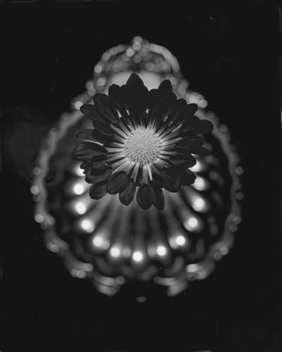 Yoshi Hashimoto
Hana #19
photograph
16 x 20"