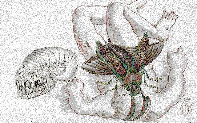 metamorphose.jpg