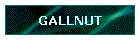 GALLNUT