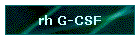 rh G-CSF