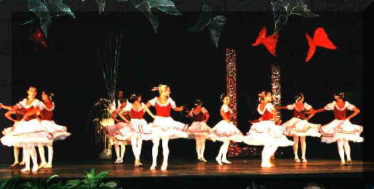mensione speciale - Fivizzano 2000