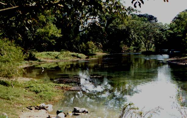 riohuichihuayan.jpg (48784 bytes)