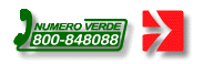 www.saer.org