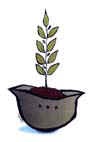 Canol Kocagz-3-a-5logo.jpg (8891 bytes)
