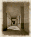 Fotos del Colegio en 1988