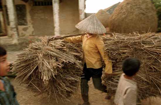 HayWoman