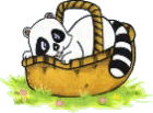 please vote for my in Topsiteanime