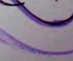 I have a glittery, gel-ink, stinky-marker, felt-tip pen habit