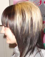 Hair Example 10