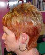 Hair Example 13
