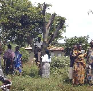 Witnessing to Zaccheus