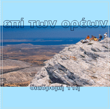   - DVD cover