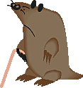 /clipart/pictures/Animals/mole.gif